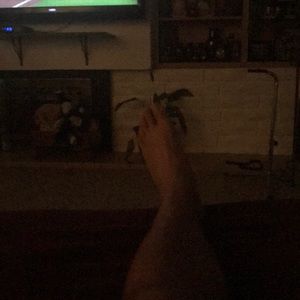 Meet your Posher, Beau